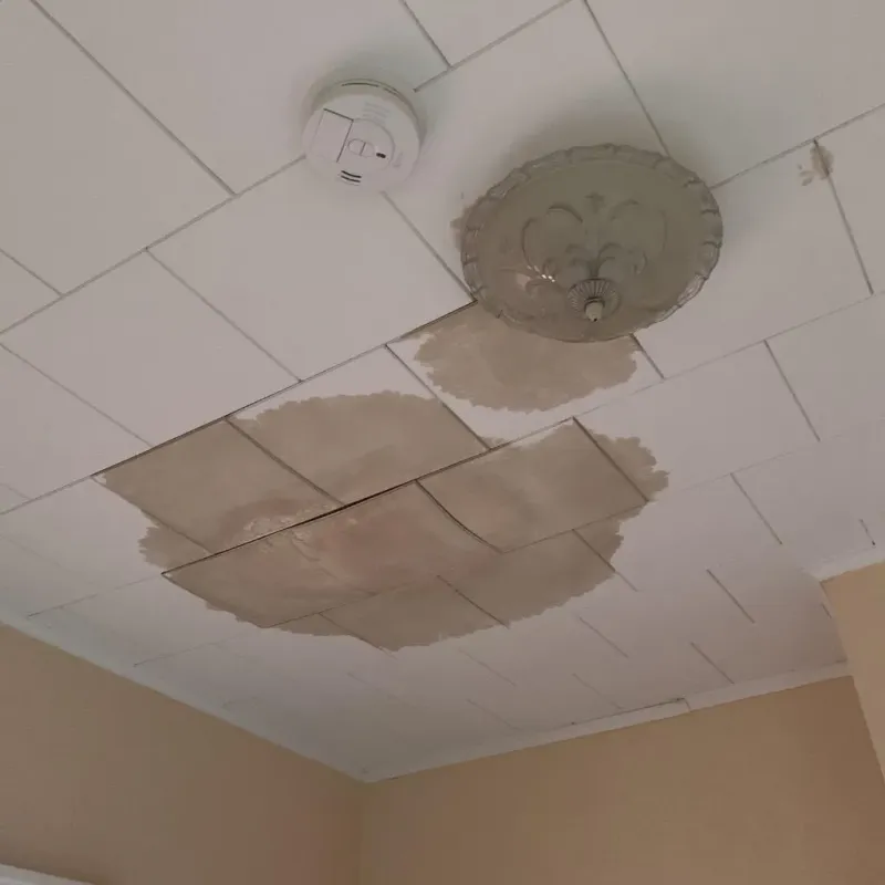 Ceiling Water Damage Repair in East Perrine, FL